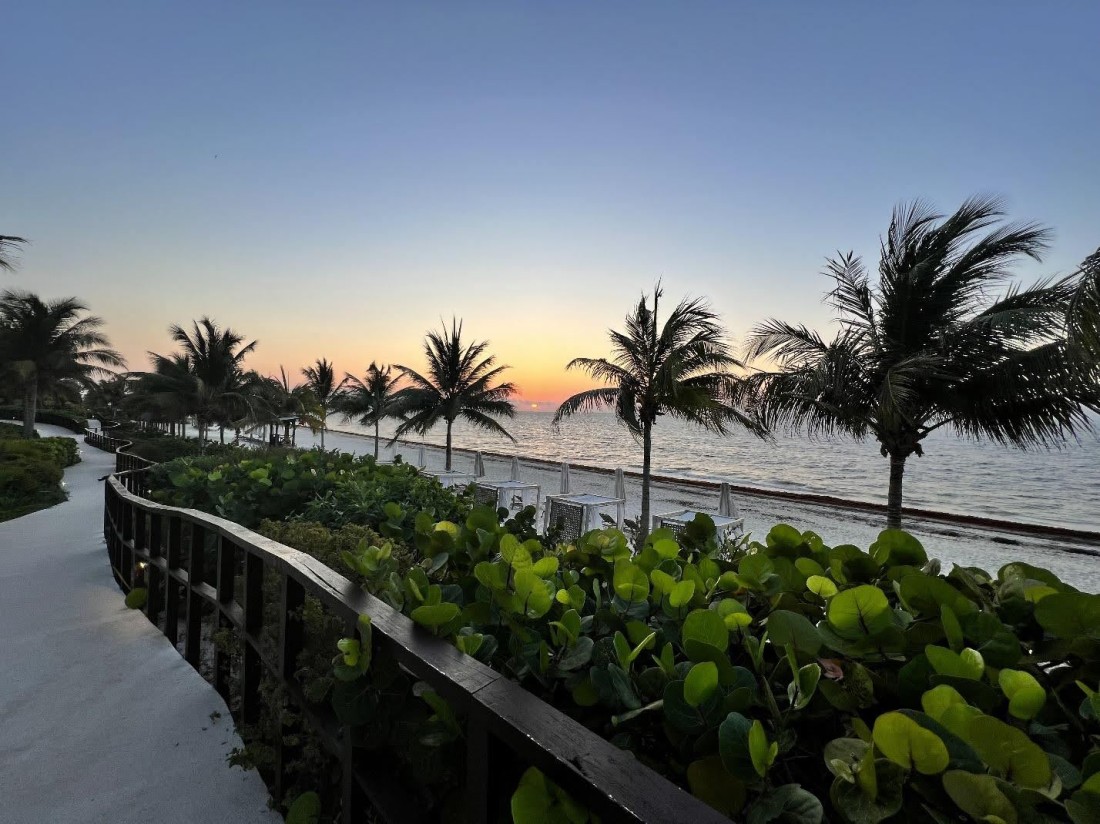 Mental Wellness Services for Walled Lake Residents | CIP - neurotherapy3